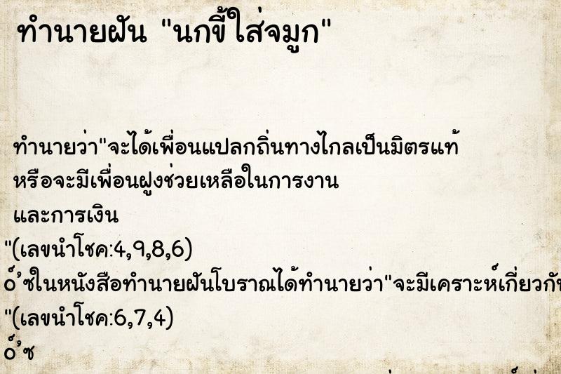 ทำนายฝันนกขี้ใส่จมูก ทำนายฝันทำนายฝันนกขี้ใส่จมูก