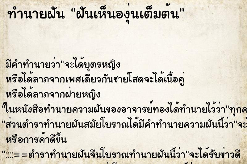 ทำนายฝันฝันเห็นองุ่นเต็มต้น ทำนายฝันทำนายฝันฝันเห็นองุ่นเต็มต้น