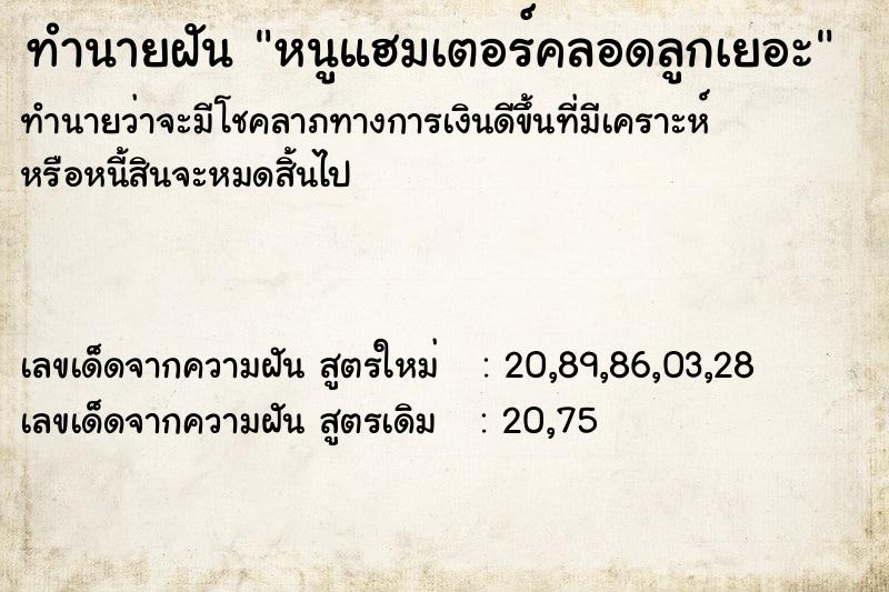 ทำนายฝันหนูแฮมเตอร์คลอดลูกเยอะ ทำนายฝันทำนายฝันหนูแฮมเตอร์คลอดลูกเยอะ