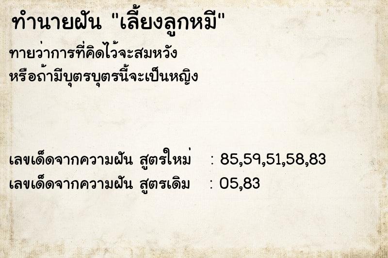 ทำนายฝัน เลี้ยงลูกหมี ทำนายฝัน เลี้ยงลูกหมี