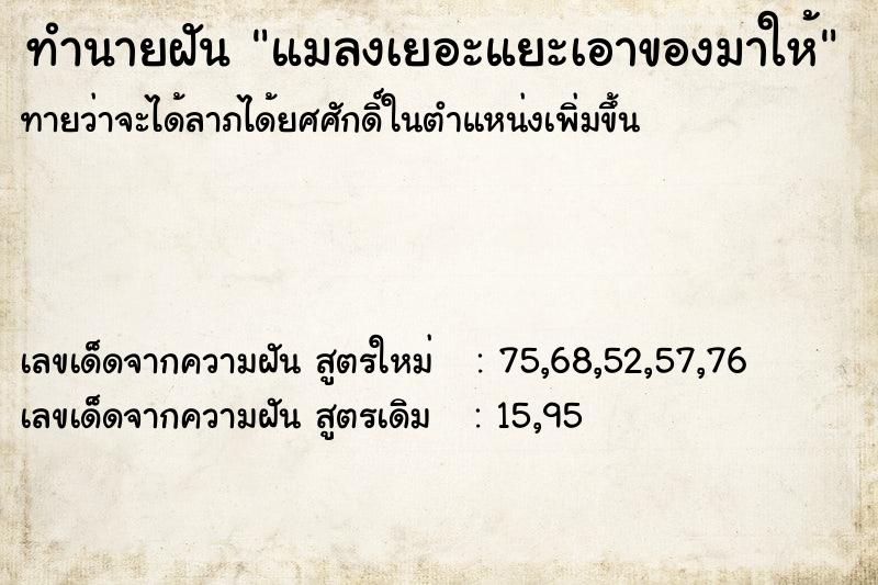 ทำนายฝันแมลงเยอะแยะเอาของมาให้ ทำนายฝันทำนายฝันแมลงเยอะแยะเอาของมาให้