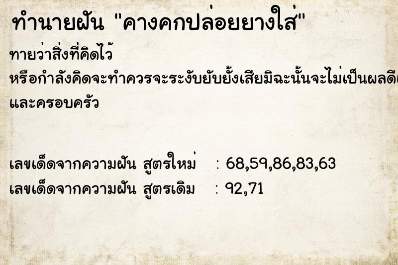 ทำนายฝันทำนายฝันคางคกปล่อยยางใส่