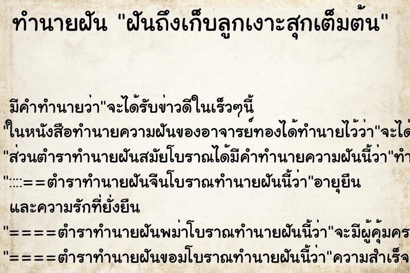 ทำนายฝันฝันถึงเก็บลูกเงาะสุกเต็มต้น ทำนายฝันทำนายฝันฝันถึงเก็บลูกเงาะสุกเต็มต้น