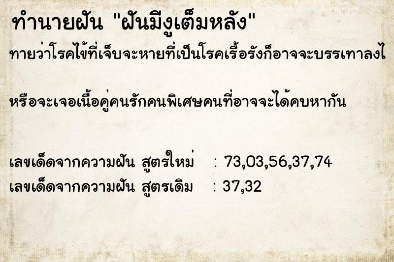 ทำนายฝันฝันมีงูเต็มหลัง ทำนายฝันทำนายฝันฝันมีงูเต็มหลัง