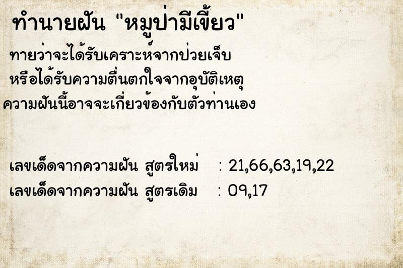 ทำนายฝันหมูป่ามีเขี้ยว ทำนายฝันทำนายฝันหมูป่ามีเขี้ยว