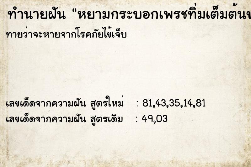 ทำนายฝันหยามกระบอกเพรชทิ่มเต็มต้นขา ทำนายฝันทำนายฝันหยามกระบอกเพรชทิ่มเต็มต้นขา