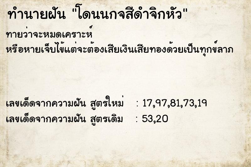 ทำนายฝันโดนนกจสีดำจิกหัว ทำนายฝันทำนายฝันโดนนกจสีดำจิกหัว