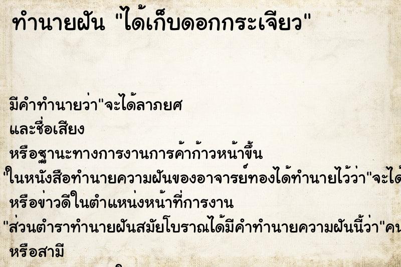 ทำนายฝัน ได้เก็บดอกกระเจียว ทำนายฝัน ได้เก็บดอกกระเจียว