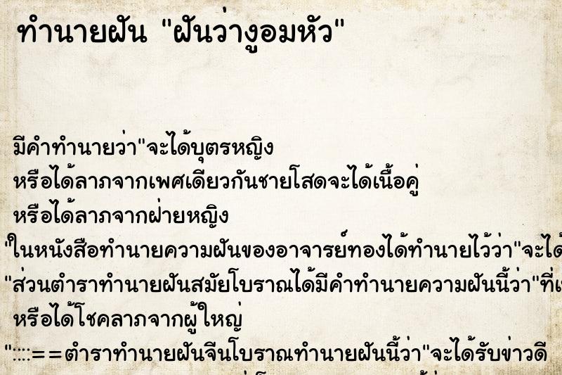 ทำนายฝันฝันว่างูอมหัว ทำนายฝันทำนายฝันฝันว่างูอมหัว