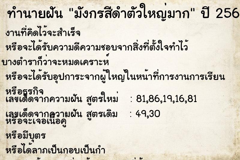 ทำนายฝันทำนายฝันมังกรสีดำตัวใหญ่มาก