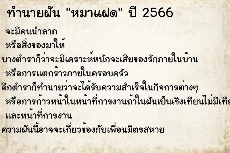 ทำนายฝันหมาแฝด ทำนายฝันทำนายฝันหมาแฝด