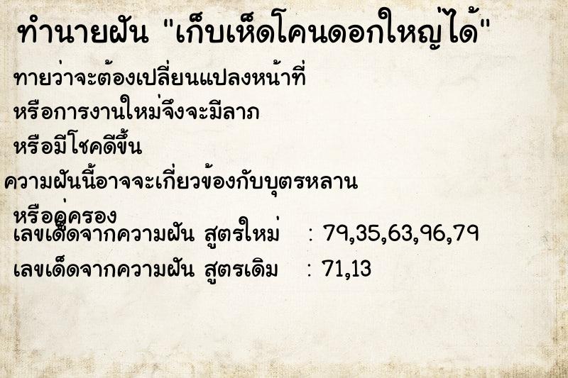 ทำนายฝันเก็บเห็ดโคนดอกใหญ่ได้ ทำนายฝันทำนายฝันเก็บเห็ดโคนดอกใหญ่ได้