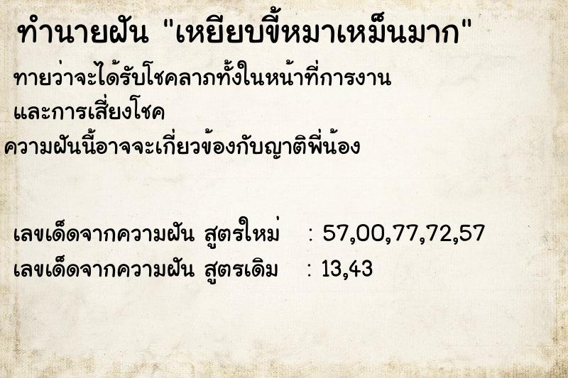 ทำนายฝันเหยียบขี้หมาเหม็นมาก ทำนายฝันทำนายฝันเหยียบขี้หมาเหม็นมาก