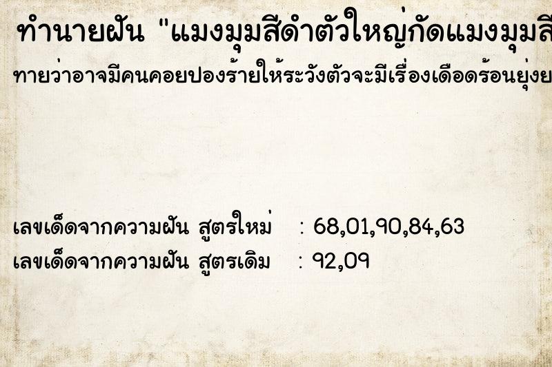 ทำนายฝันทำนายฝันแมงมุมสีดำตัวใหญ่กัดแมงมุมสีดำตัวใหญ่กัด