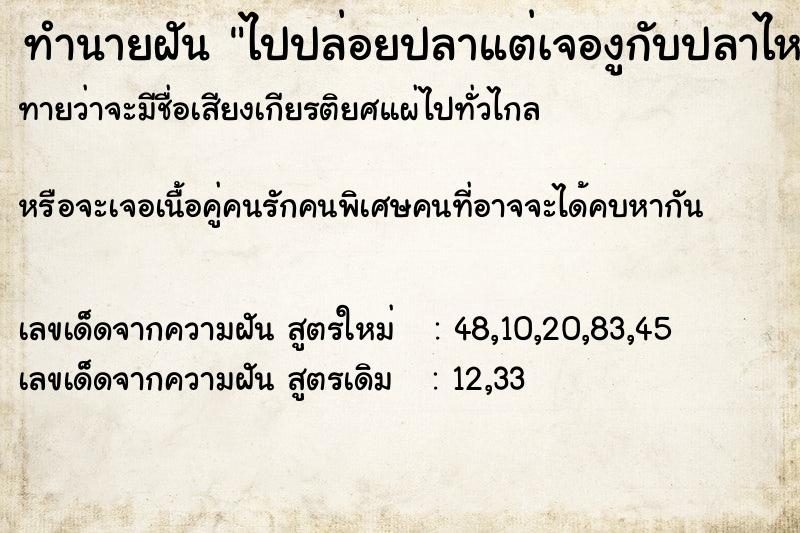 ทำนายฝันทำนายฝันไปปล่อยปลาแต่เจองูกับปลาไหลเต็มคลอง