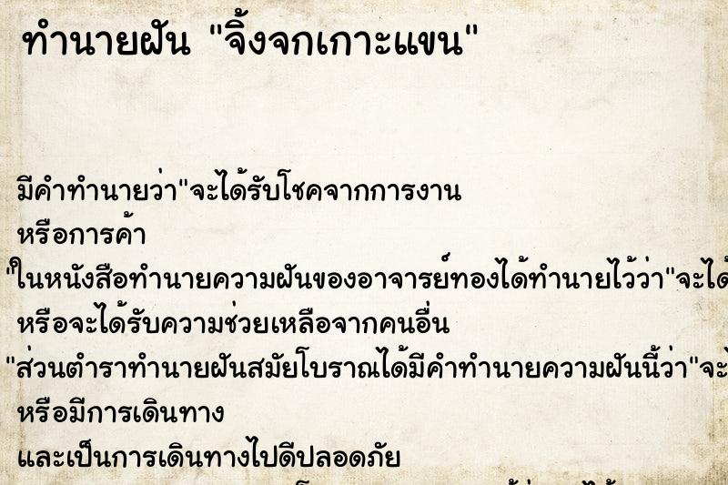 ทำนายฝัน จิ้งจกเกาะแขน ทำนายฝัน จิ้งจกเกาะแขน