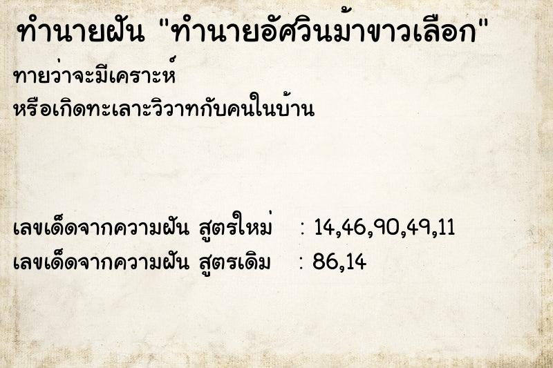 ทำนายฝันทำนายอัศวินม้าขาวเลือก ทำนายฝันทำนายฝันทำนายอัศวินม้าขาวเลือก