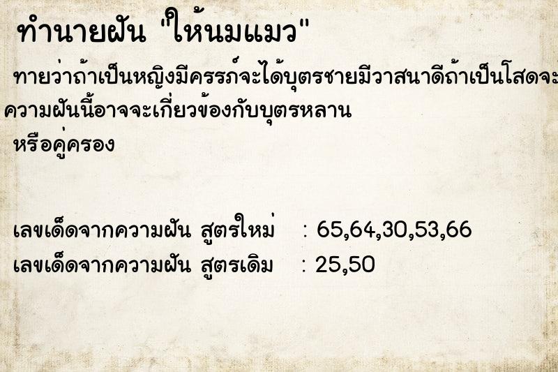 ทำนายฝันให้นมแมว ทำนายฝันทำนายฝันให้นมแมว