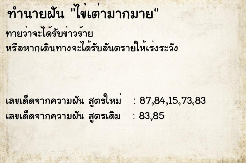 ทำนายฝันทำนายฝันไข่เต่ามากมาย