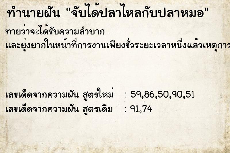ทำนายฝัน จับได้ปลาไหลกับปลาหมอ ทำนายฝัน จับได้ปลาไหลกับปลาหมอ