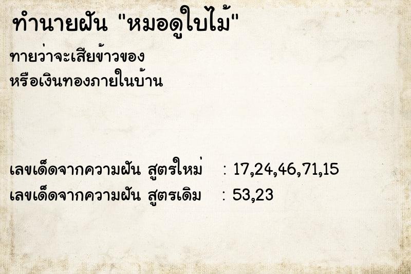 ทำนายฝันทำนายฝันหมอดูใบไม้