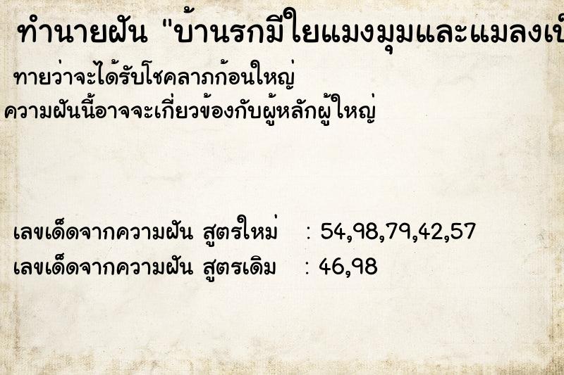 ทำนายฝันบ้านรกมีใยแมงมุมและแมลงเป็นกล่มก้อน ทำนายฝันทำนายฝันบ้านรกมีใยแมงมุมและแมลงเป็นกล่มก้อน