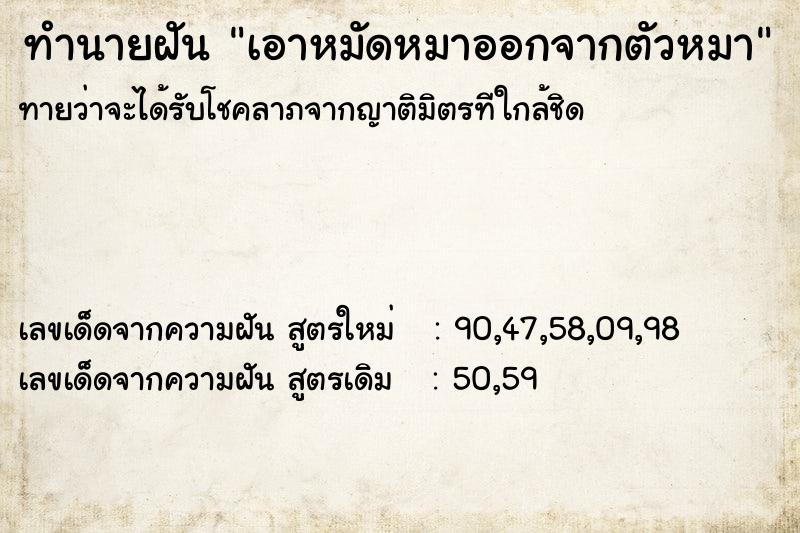 ทำนายฝันทำนายฝันเอาหมัดหมาออกจากตัวหมา