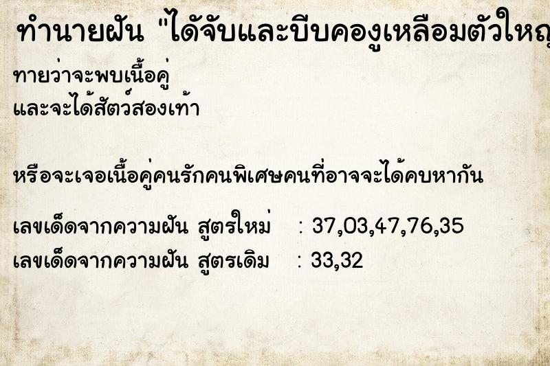 ทำนายฝันทำนายฝันไดัจับและบีบคองูเหลือมตัวใหญ่