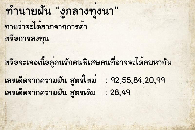 ทำนายฝันงูกลางทุ่งนา ทำนายฝันทำนายฝันงูกลางทุ่งนา