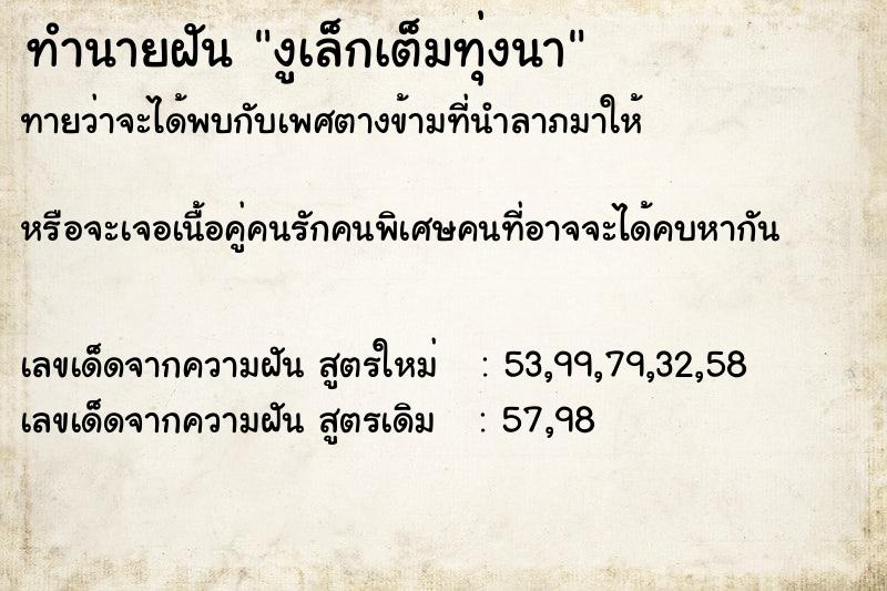 ทำนายฝันทำนายฝันงูเล็กเต็มทุ่งนา