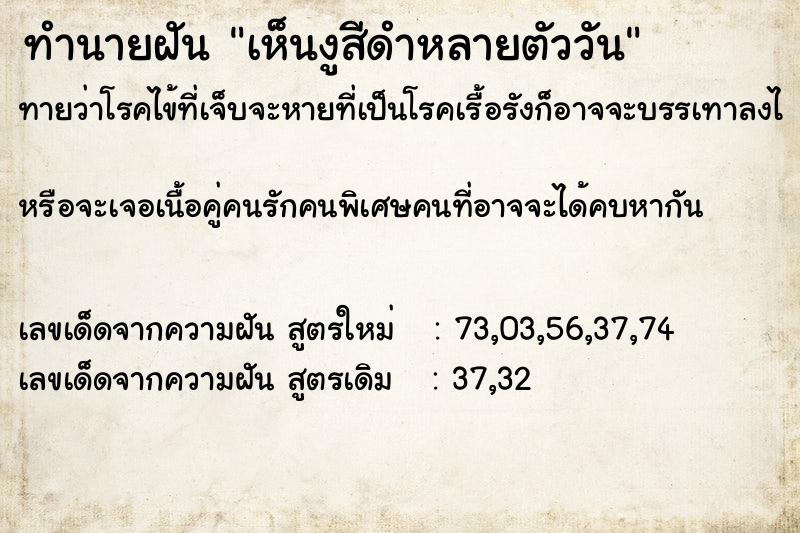 ทำนายฝันเห็นงูสีดำหลายตัววัน ทำนายฝันทำนายฝันเห็นงูสีดำหลายตัววัน