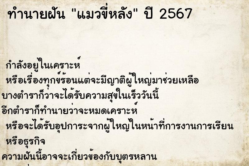 ทำนายฝัน แมวขี่หลัง ทำนายฝัน แมวขี่หลัง