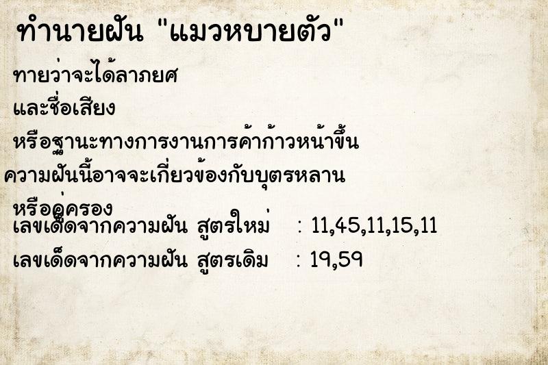 ทำนายฝันแมวหบายตัว ทำนายฝันทำนายฝันแมวหบายตัว