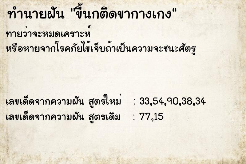 ทำนายฝัน ขี้นกติดขากางเกง ตำราโบราณ แม่นที่สุดในโลก