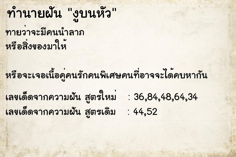 ทำนายฝันงูบนหัว ทำนายฝันทำนายฝันงูบนหัว