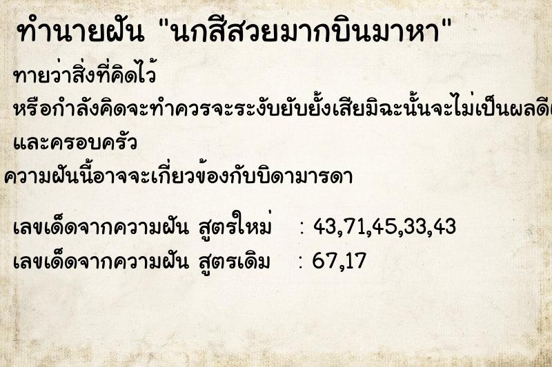 ทำนายฝันนกสีสวยมากบินมาหา ทำนายฝันทำนายฝันนกสีสวยมากบินมาหา