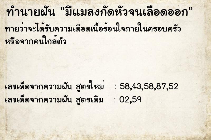 ทำนายฝันทำนายฝันมีแมลงกัดหัวจนเลือดออก