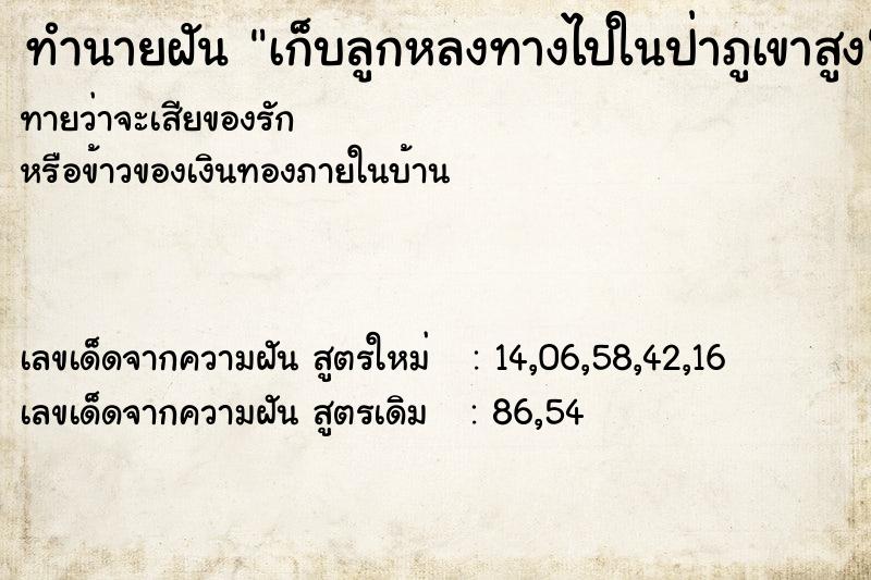 ทำนายฝัน เก็บลูกหลงทางไปในป่าภูเขาสูง ทำนายฝัน เก็บลูกหลงทางไปในป่าภูเขาสูง