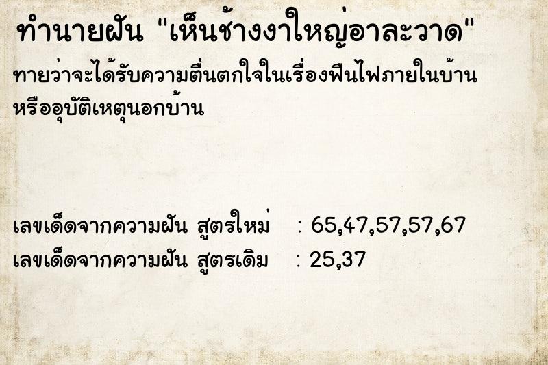 ทำนายฝันทำนายฝันเห็นช้างงาใหญ่อาละวาด