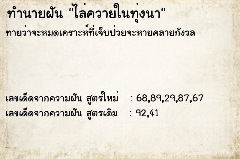 ทำนายฝันทำนายฝันไล่ควายในทุ่งนา