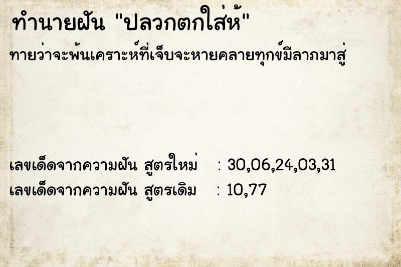 ทำนายฝันปลวกตกใส่ห้ ทำนายฝันทำนายฝันปลวกตกใส่ห้