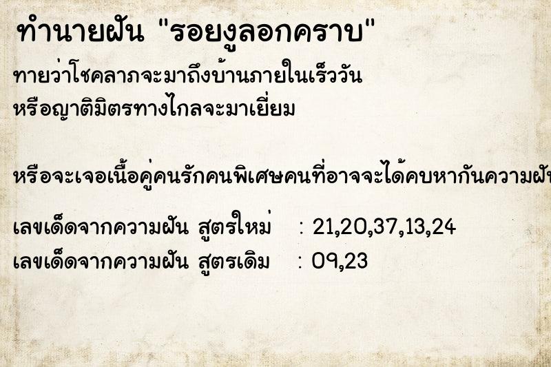 ทำนายฝันรอยงูลอกคราบ ทำนายฝันทำนายฝันรอยงูลอกคราบ