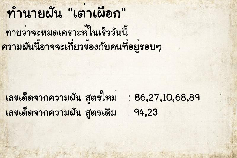 ทำนายฝัน เต่าเผือก ทำนายฝัน เต่าเผือก