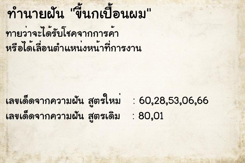 ทำนายฝัน ขี้นกเปื้อนผม ทำนายฝัน ขี้นกเปื้อนผม