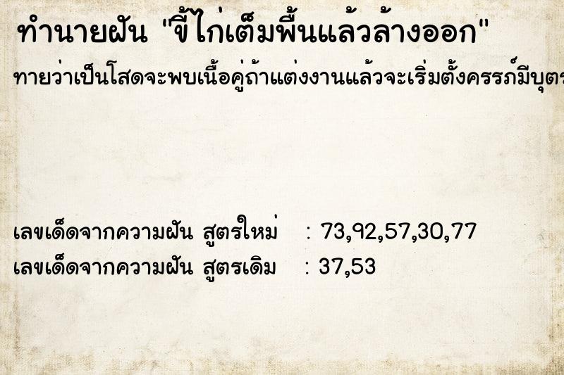 ทำนายฝันทำนายฝันขี้ไก่เต็มพื้นแล้วล้างออก