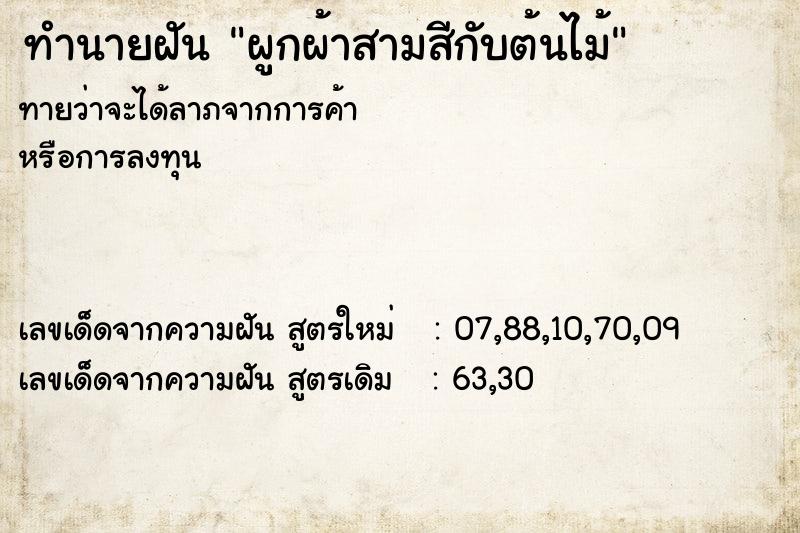 ทำนายฝันทำนายฝันผูกผ้าสามสีกับต้นไม้