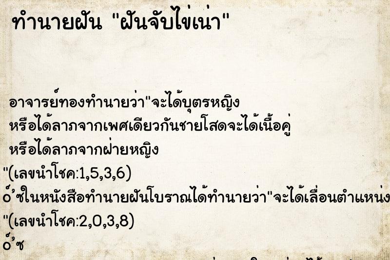 ทำนายฝัน ฝันจับไข่เน่า ทำนายฝัน ฝันจับไข่เน่า