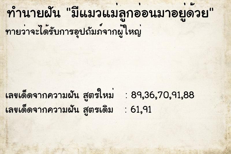 ทำนายฝันมีแมวแม่ลูกอ่อนมาอยู่ด้วย ทำนายฝันทำนายฝันมีแมวแม่ลูกอ่อนมาอยู่ด้วย