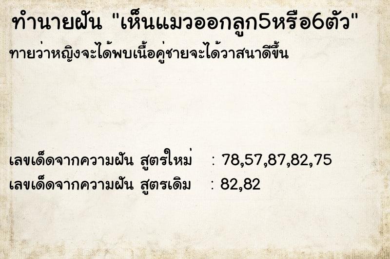 ทำนายฝันทำนายฝันเห็นแมวออกลูก5หรือ6ตัว