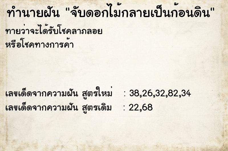 ทำนายฝัน จับดอกไม้กลายเป็นก้อนดิน ทำนายฝัน จับดอกไม้กลายเป็นก้อนดิน